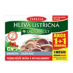 Terezia  Hlíva ústřičná s lactobacily 120 tablet